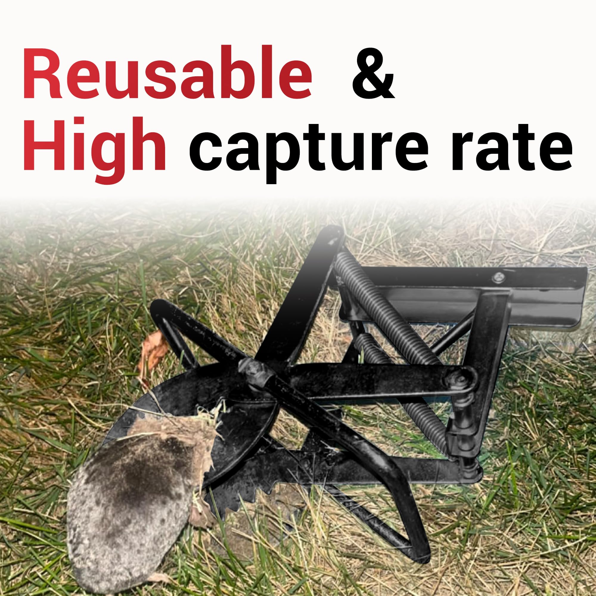 POlAFLEX mole trap, powerful spring action delivers humane, immediate mole control.