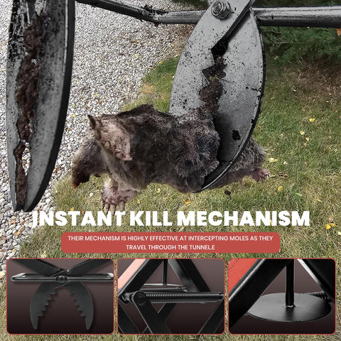 POlAFLEX mole trap, safe for families and pets when used properly.