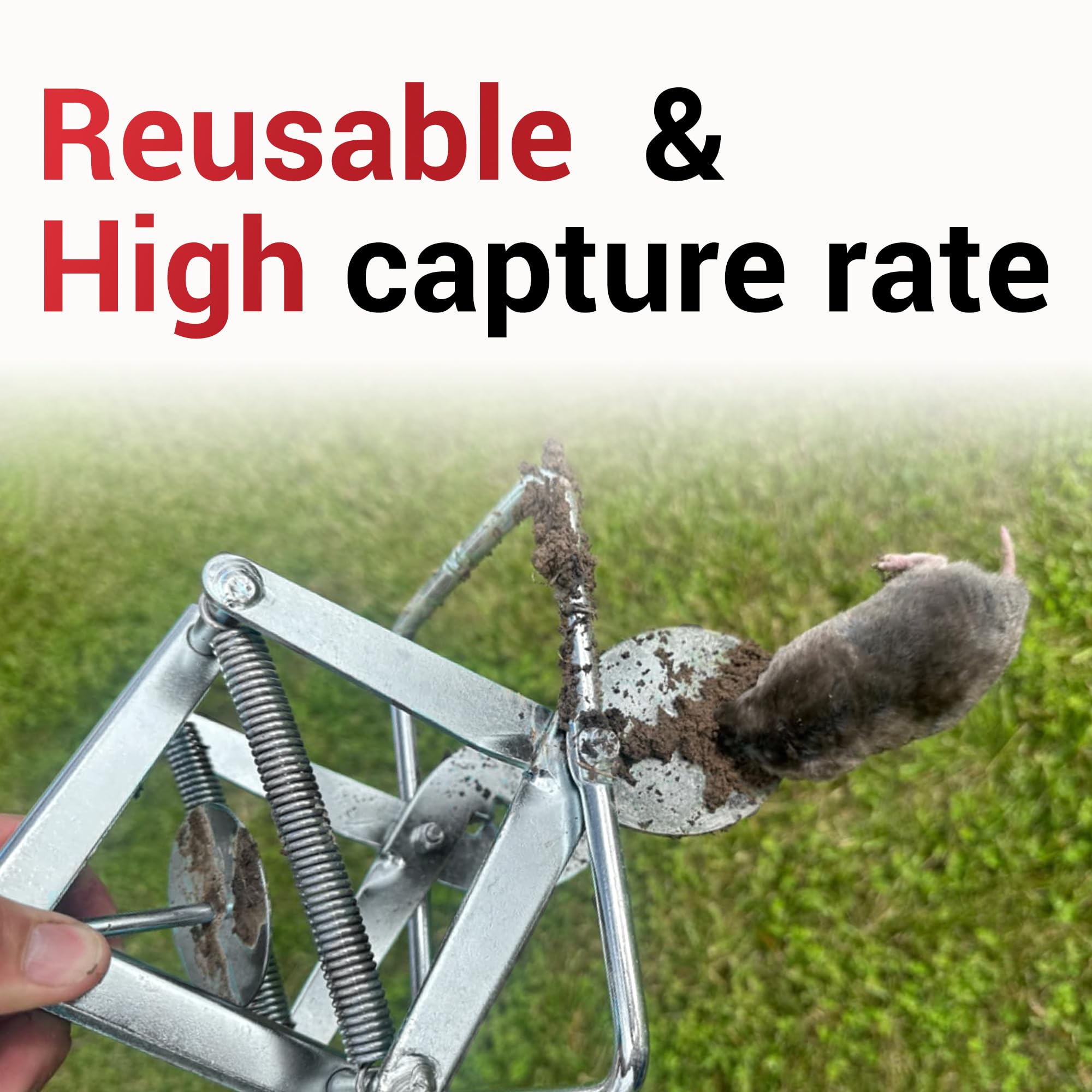 POlAFLEX Mole Trap Scissor 2Pack highlighting family-friendly, safe design.