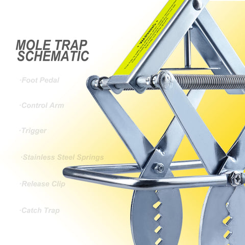 POlAFLEX galvanized steel design for durable mole control with this trap duo.