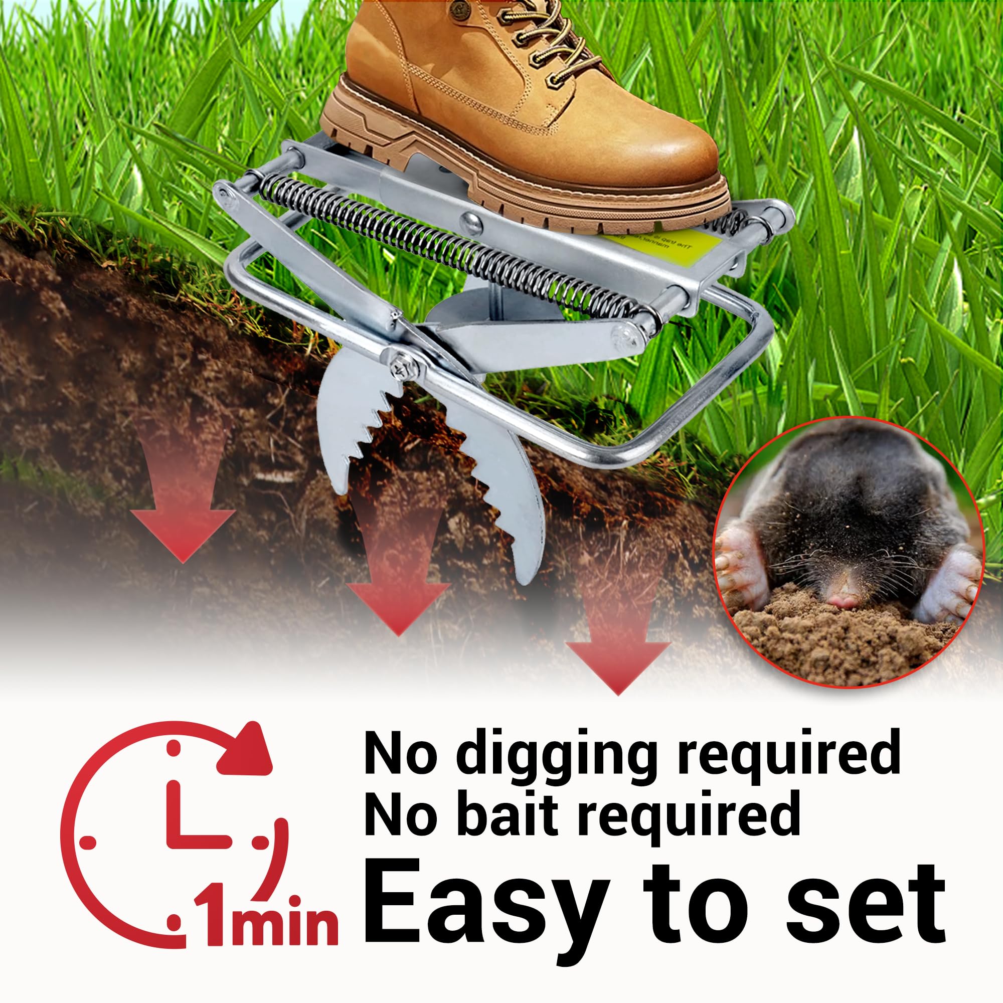 POlAFLEX Mole Trap Scissor 2Pack during setup with straight trigger alignment.