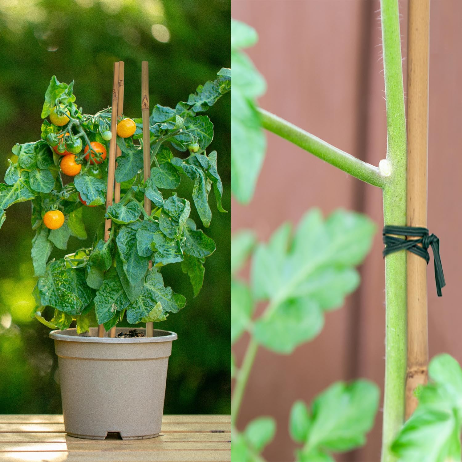 POLIUMB 16-inch bamboo stakes offer discreet garden support