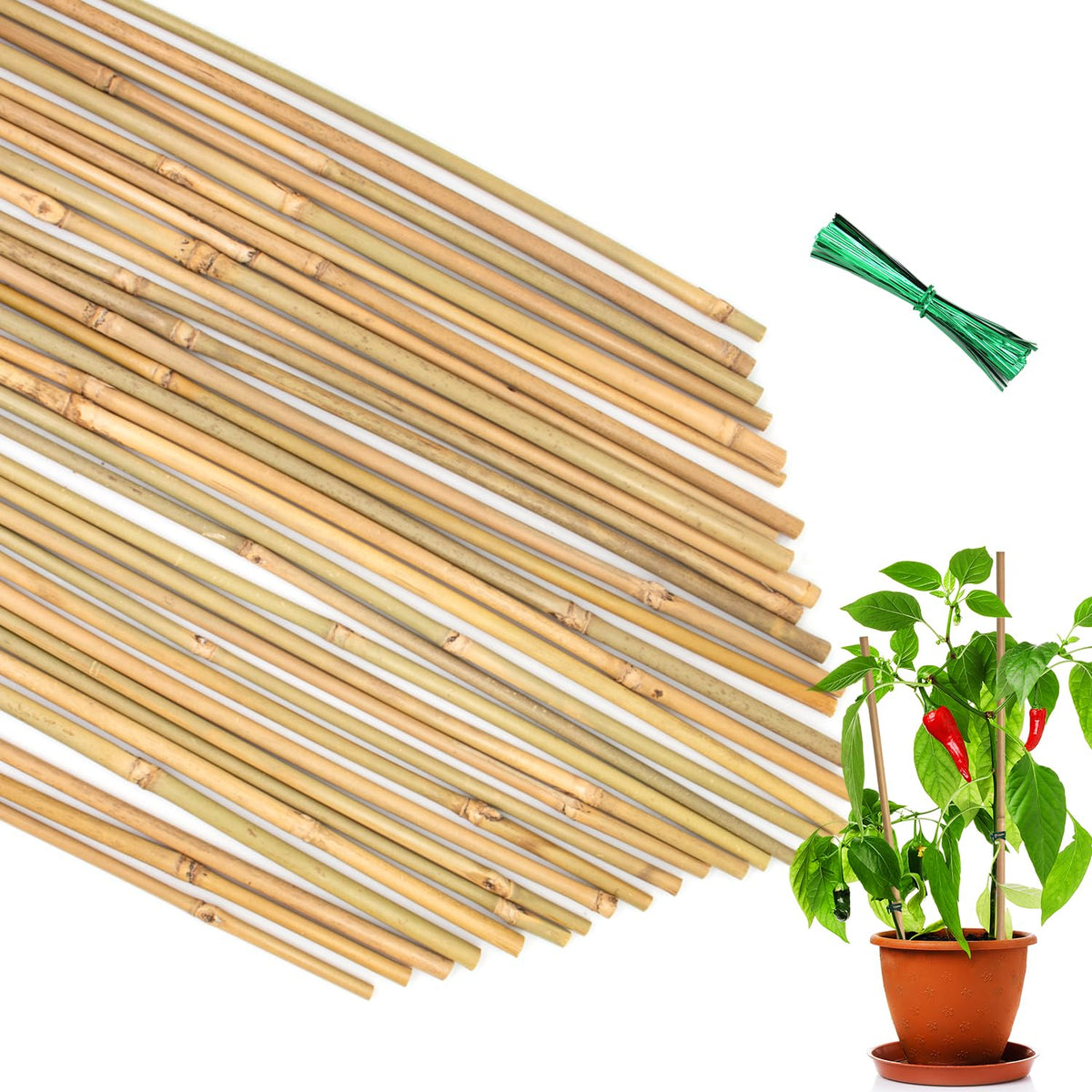 POLIUMB 35pcs bamboo stakes, straight design for sturdy plant support.