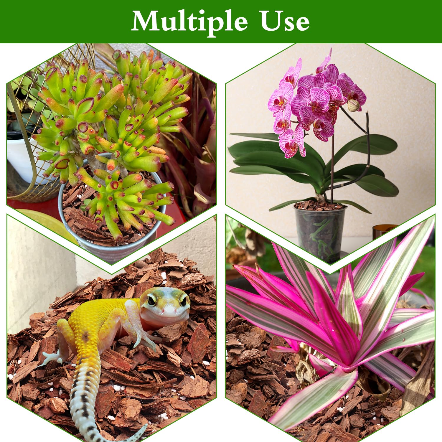 poliumb aerated mix visuals showing drainage and airflow for epiphytes