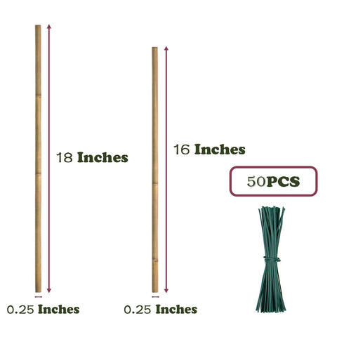 POLIUMB bamboo stake supports tomatoes for upright growth