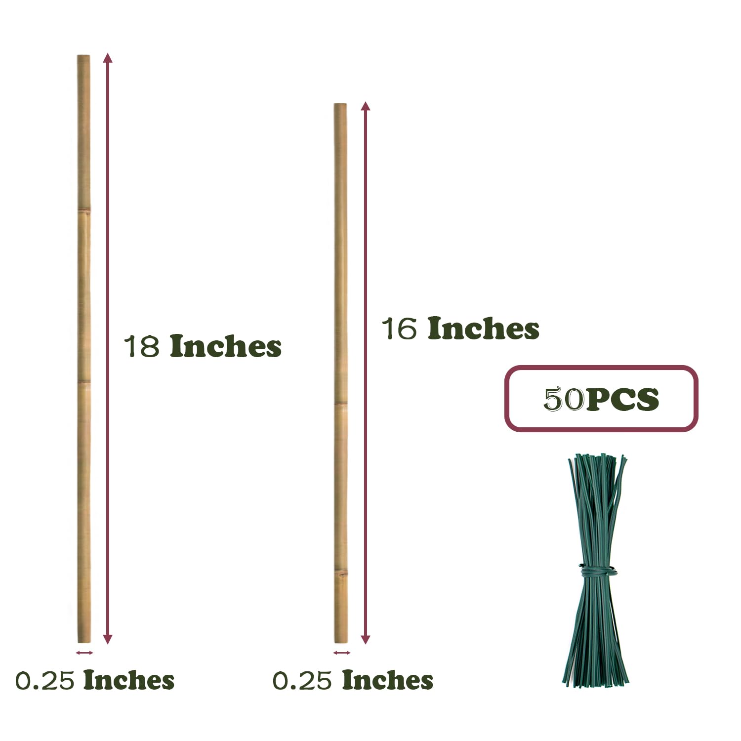 POLIUMB bamboo stake supports climbing beans for upright growth