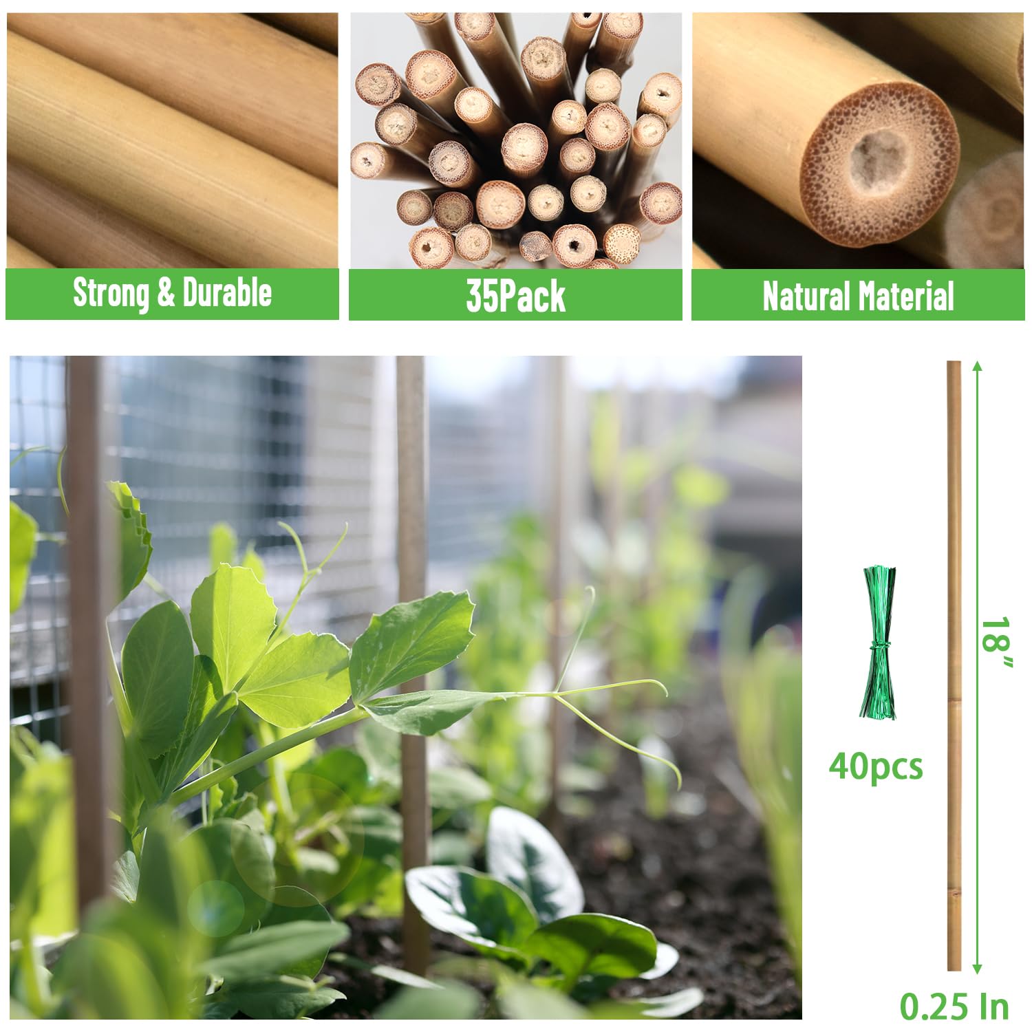 POLIUMB bamboo stakes with ties, quick securing for tender stems.