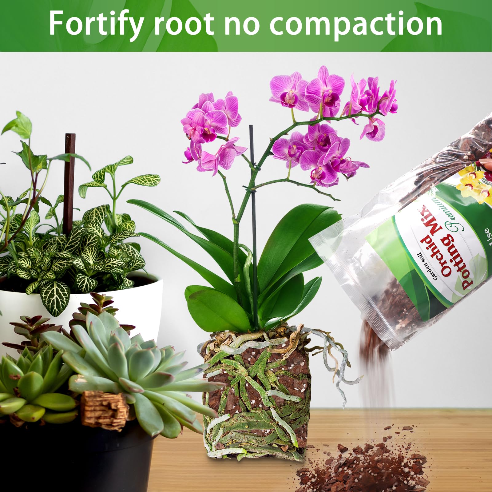 POLIUMB Orchid Coco Peat mix displays natural moisture retention and nutrient balance.