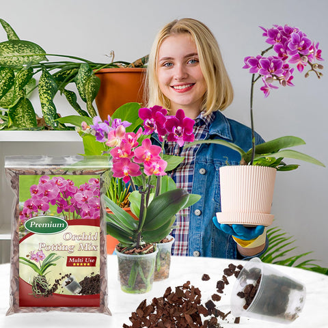Epiphytic orchids thriving with POLIUMB orchid bark potting mix.
