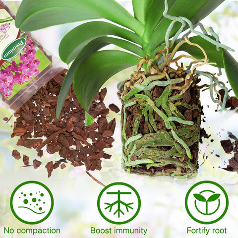poliumb orchid mix in pot with healthy root support