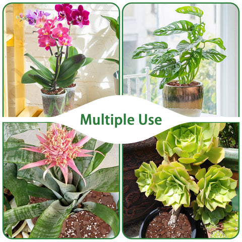 POLIUMB Orchid Perlite grains emphasize aeration for better gas exchange.