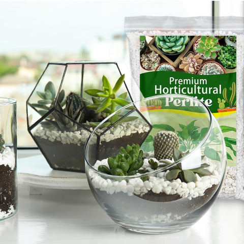 POLIUMB horticultural perlite enables DIY terrarium projects and decorative plant layers.