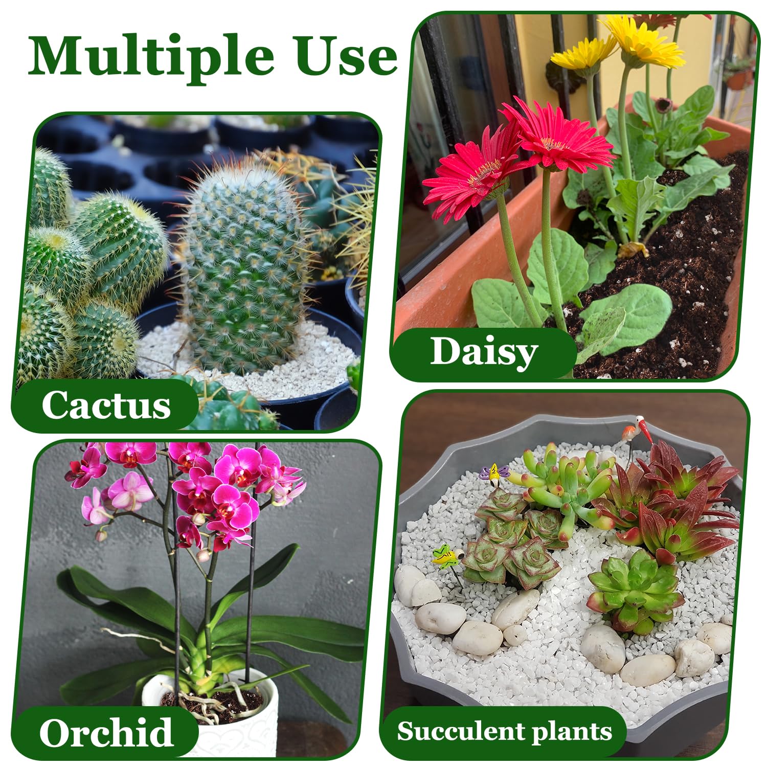 POLIUMB perlite used in hydroponics starter setup