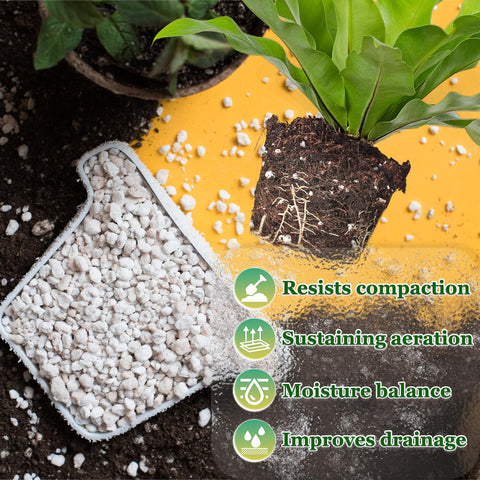 POLIUMB perlite in soil mix enhances drainage and root aeration