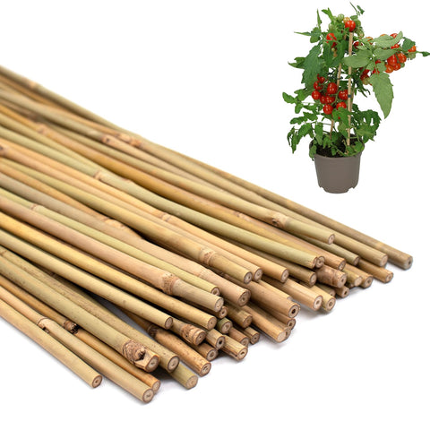 POLIUMB plant stakes in natural bamboo provide sturdy support for tomatoes