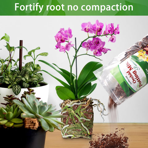 POLIUMB mix shown in repotting setup with Phalaenopsis orchids.