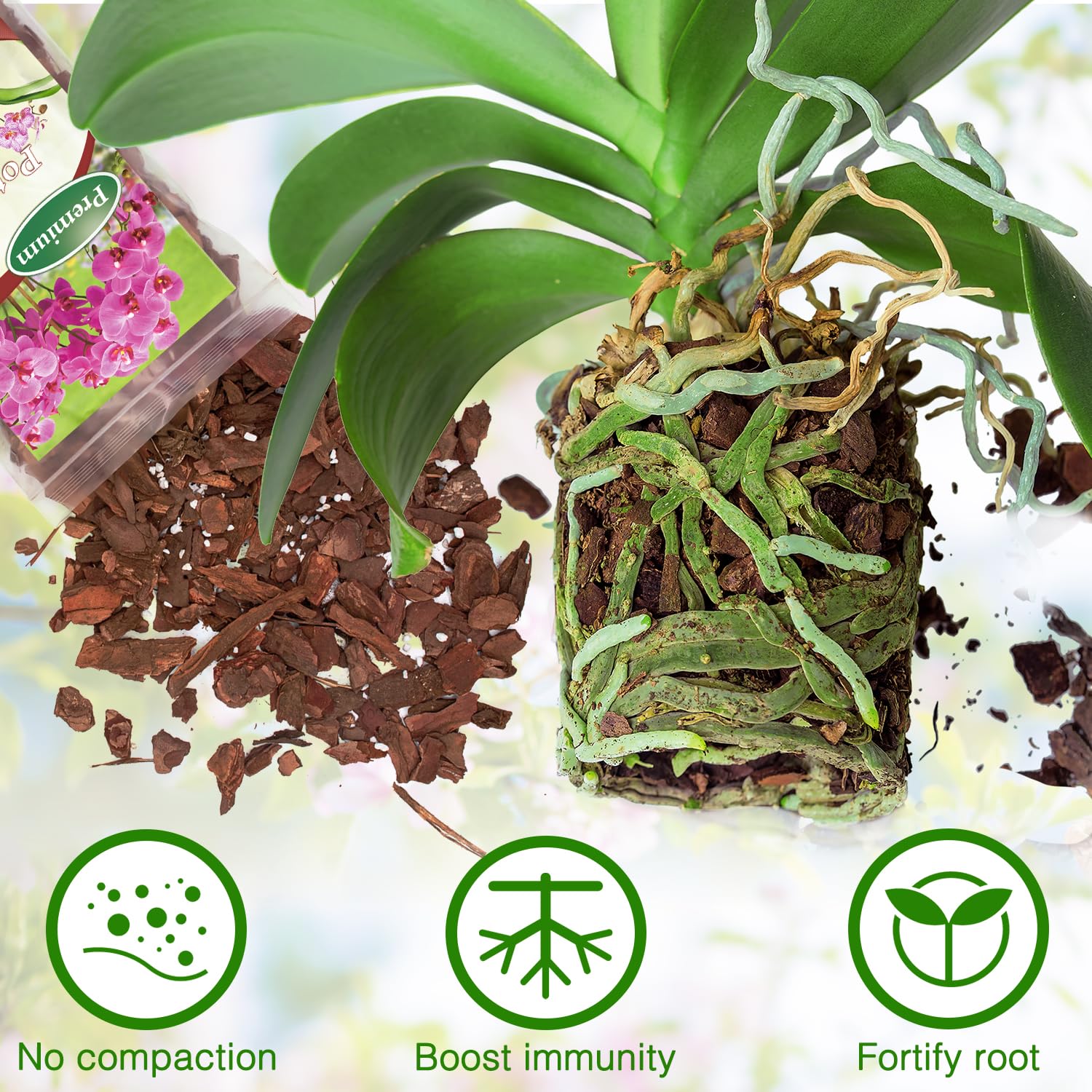 POLIUMB Well-drained mix structure supports healthy root growth.