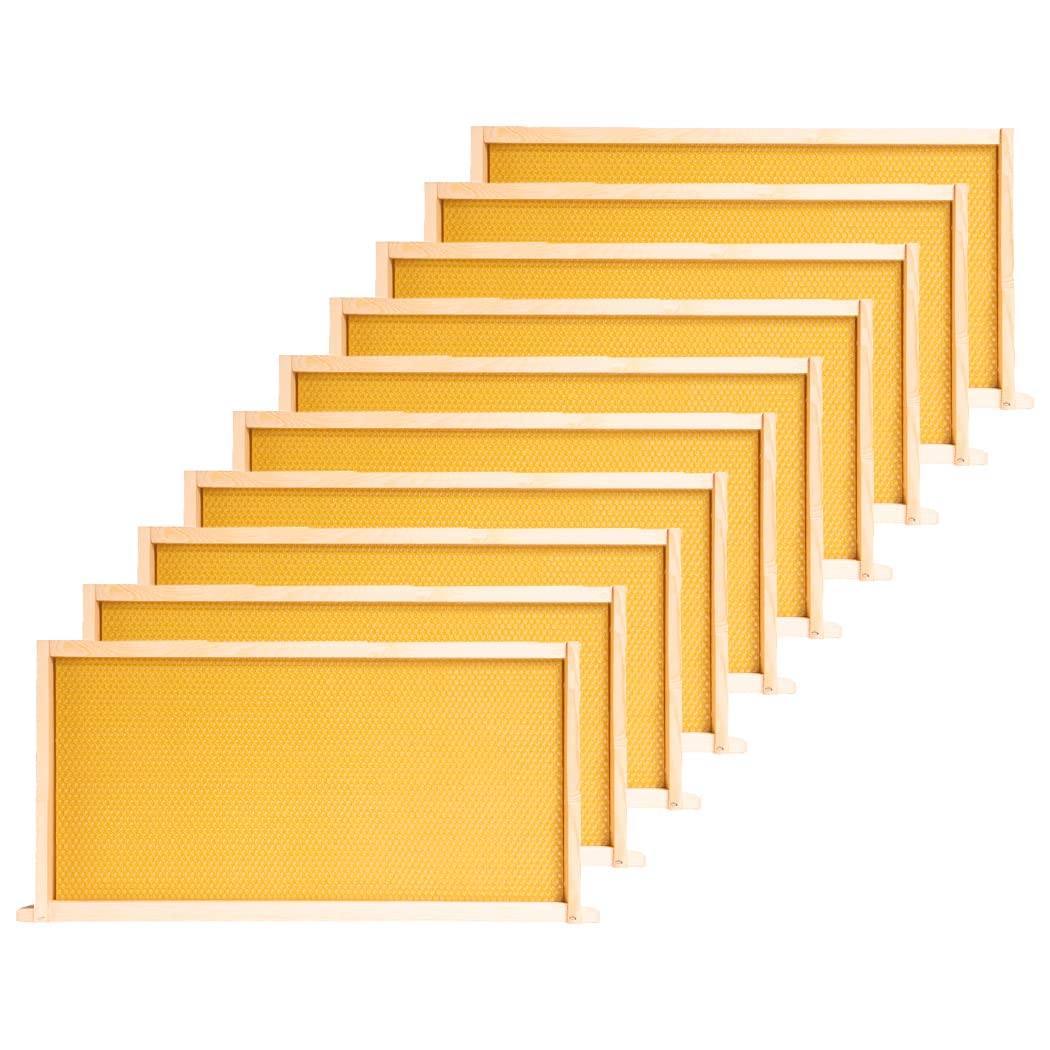 POLLIBEE bee frames 10-pack ready for quick installation in Langstroth hives