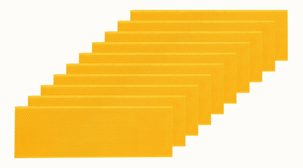 POLLIBEE beehive foundation packaging view for easy ordering and transport.