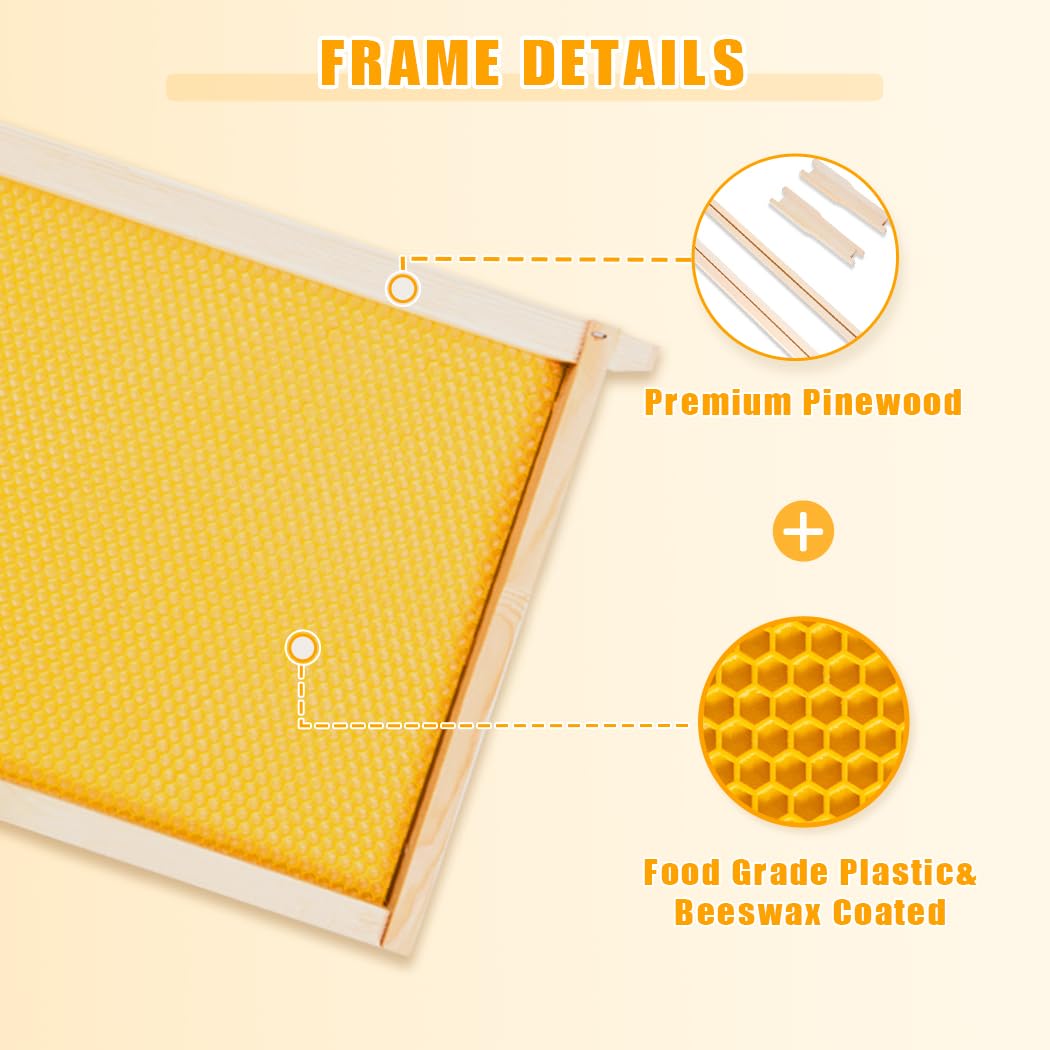 POLLIBEE beeswax foundation sheets promote rapid acceptance by bees