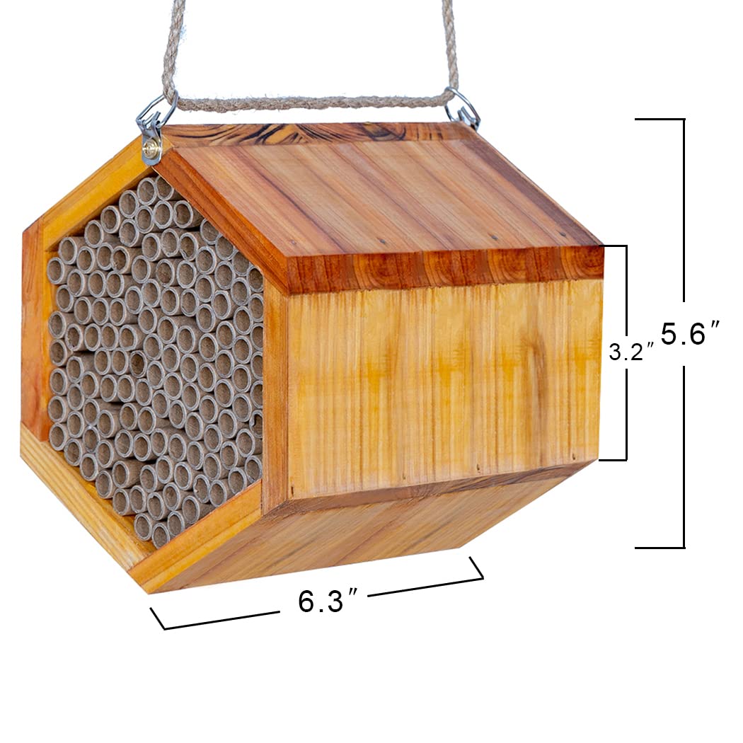 POLLIBEE mason bee cocoons accessible for safe inspection and handling.