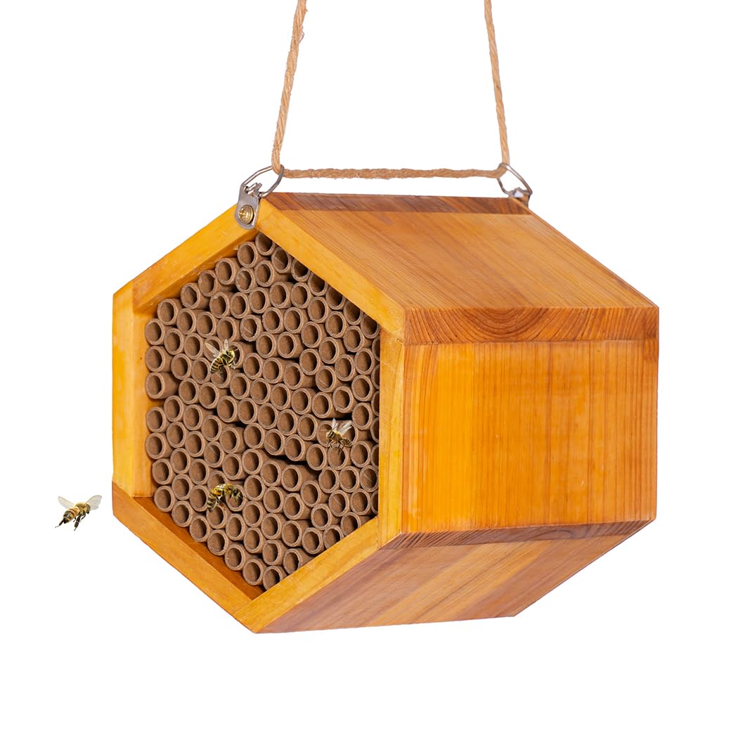 POLLIBEE Mason Bee House assembled for immediate garden installation and pollinator support.