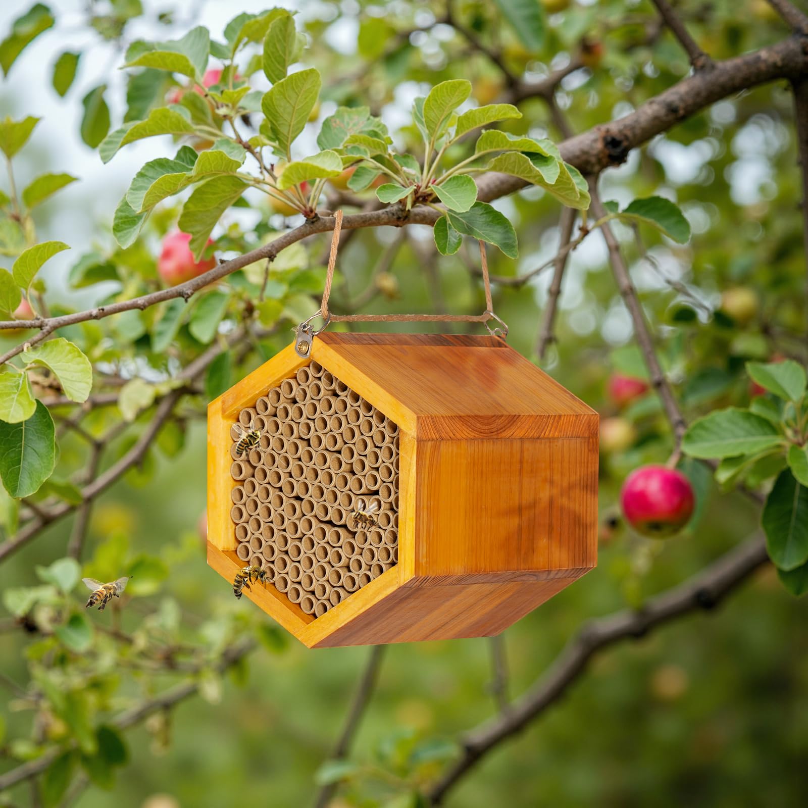 POLLIBEE mason bee house back hook ready to hang on tree or wall.