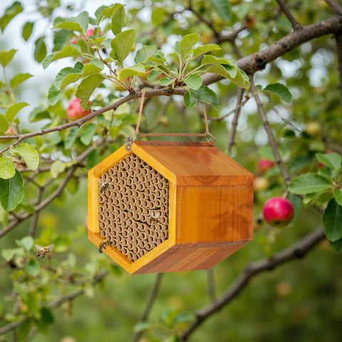 POLLIBEE mason bee house back hook ready to hang on tree or wall.