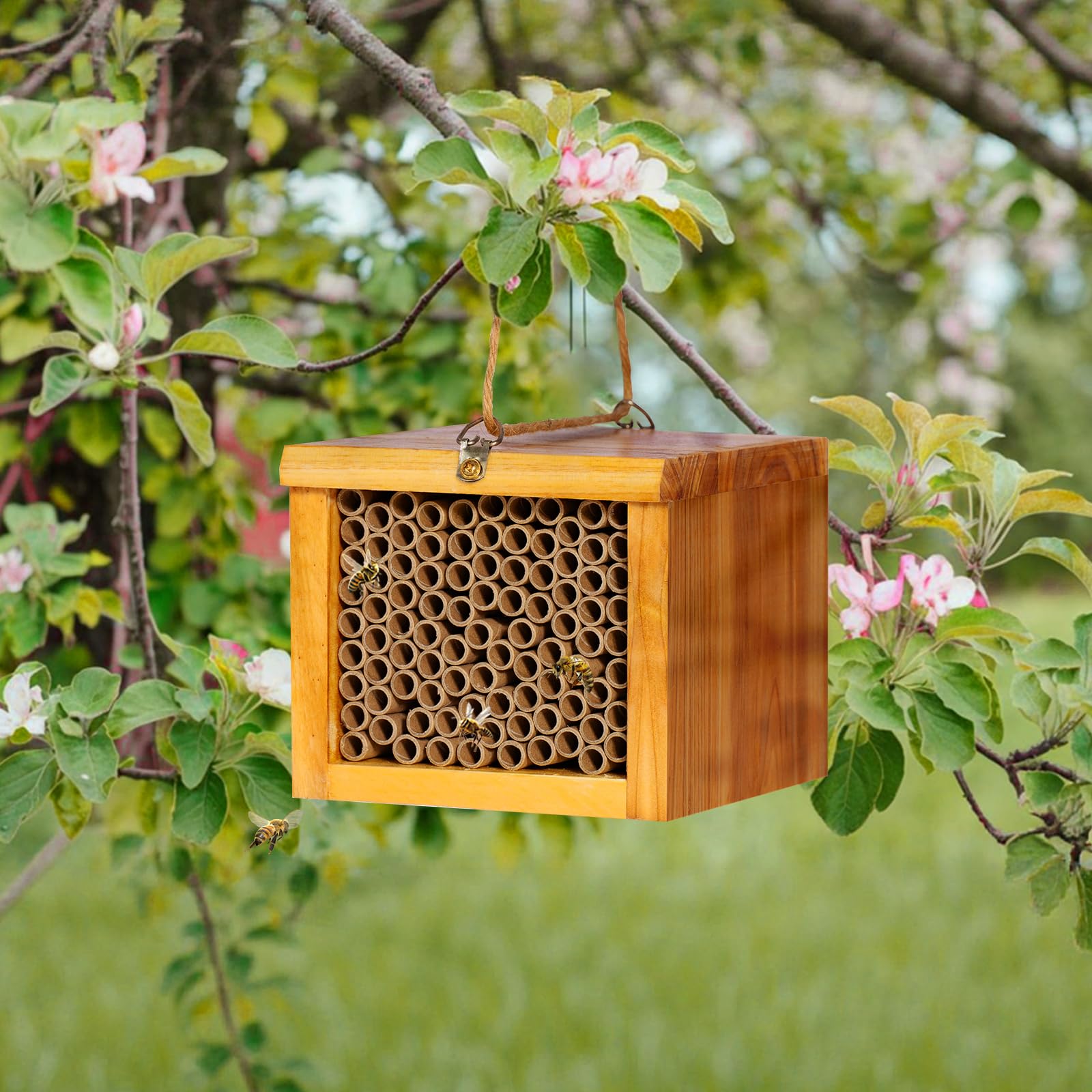 POLLIBEE Mason Bee House back wall buckle enables easy wall mounting.