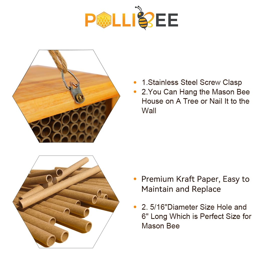 POLLIBEE Mason Bee House supports pollinator visits for healthier plants.