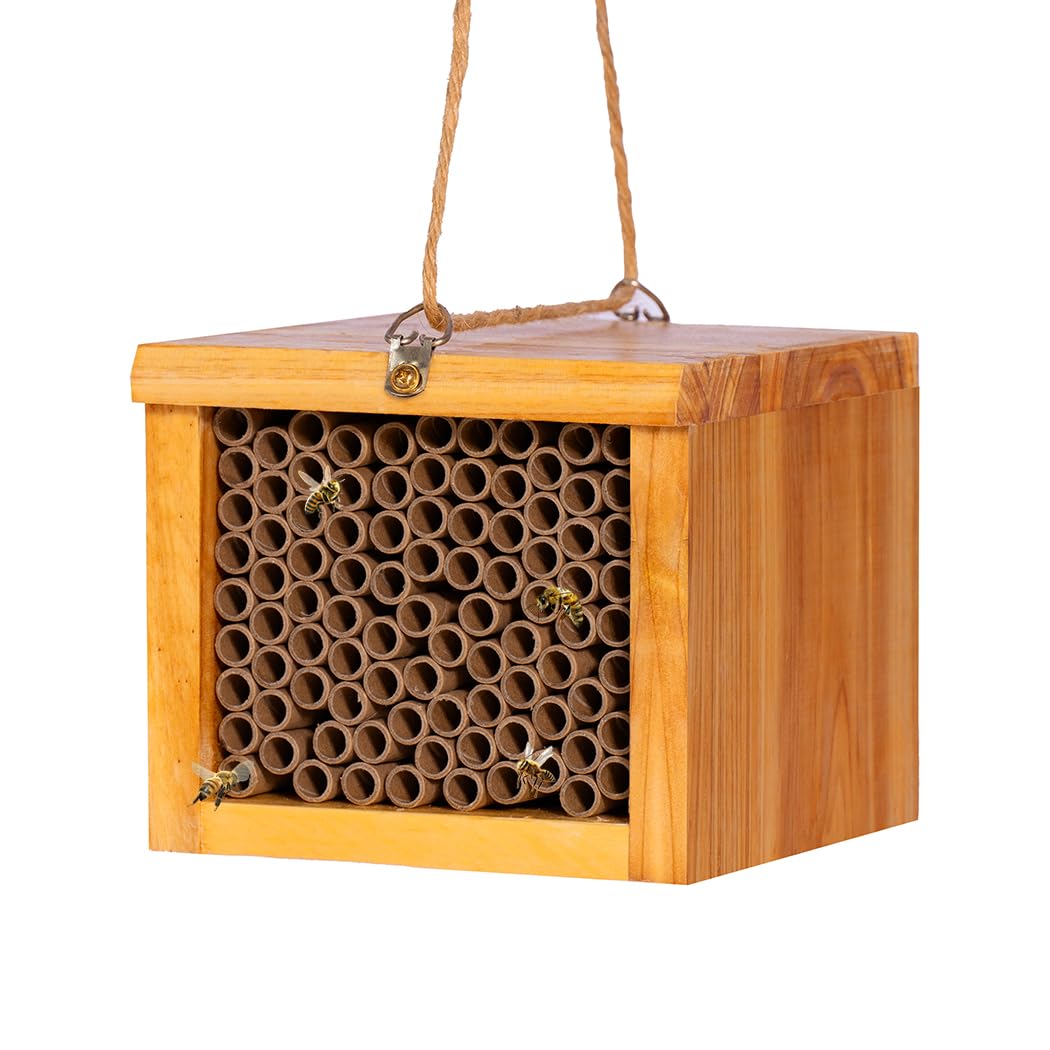 POLLIBEE Mason Bee House with waterproof coating protects nests in outdoor spaces.