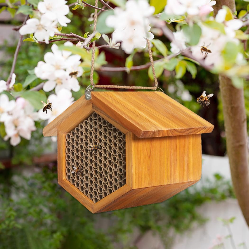 POLLIBEE mason bee nest attracting pollinators to improve garden biodiversity