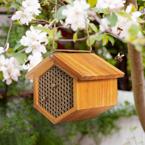 POLLIBEE mason bee nest attracting pollinators to improve garden biodiversity