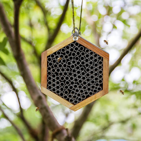 POLLIBEE pollinator-friendly garden shelter supports peaceful mason bees.