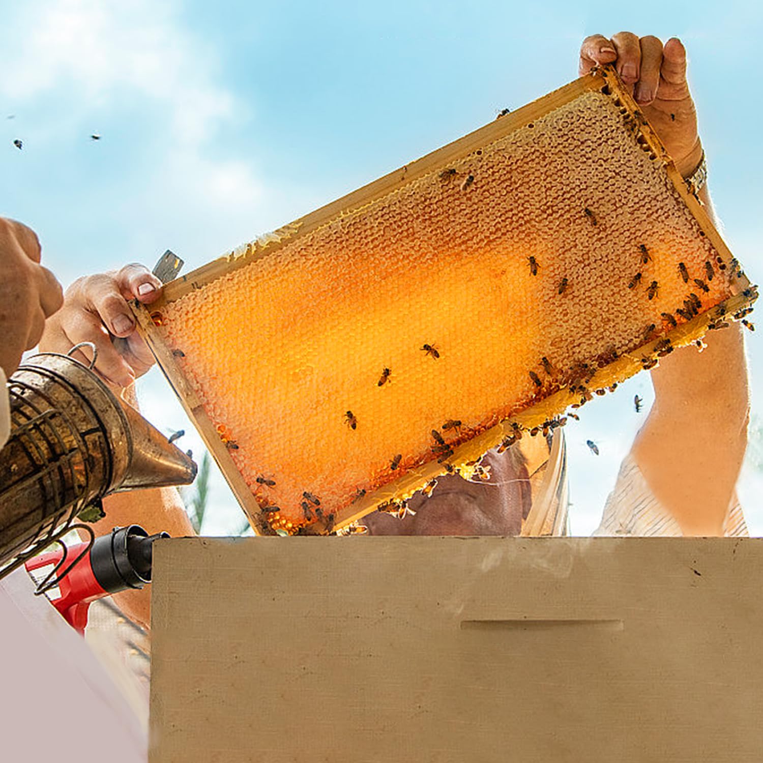 POLLIBEE unassembled frame kit supports flexible hive configurations