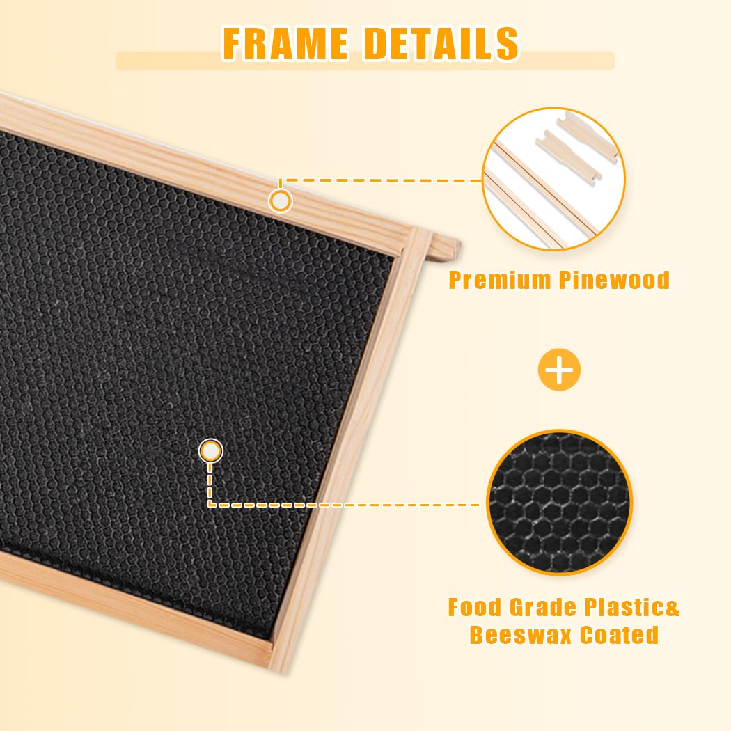 POLLIBEE wax foundation-coated frame showing beeswax foundation for brood acceptance