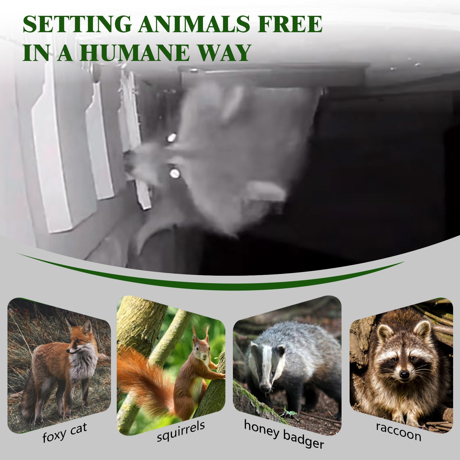 POLXIYY multi-purpose use guards homes from raccoons, cats, rodents, and squirrels.