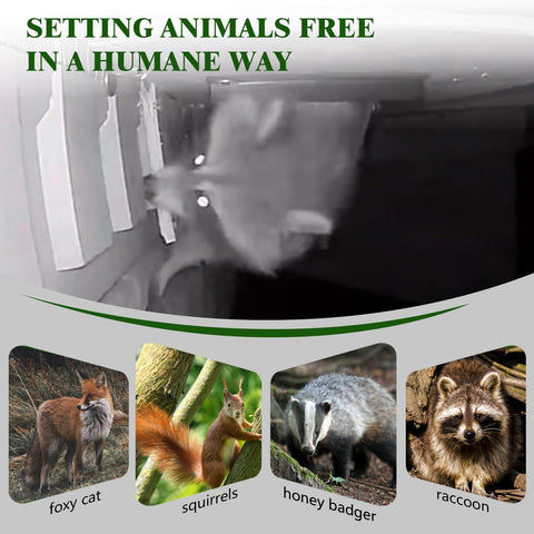POLXIYY multi-purpose use guards homes from raccoons, cats, rodents, and squirrels.