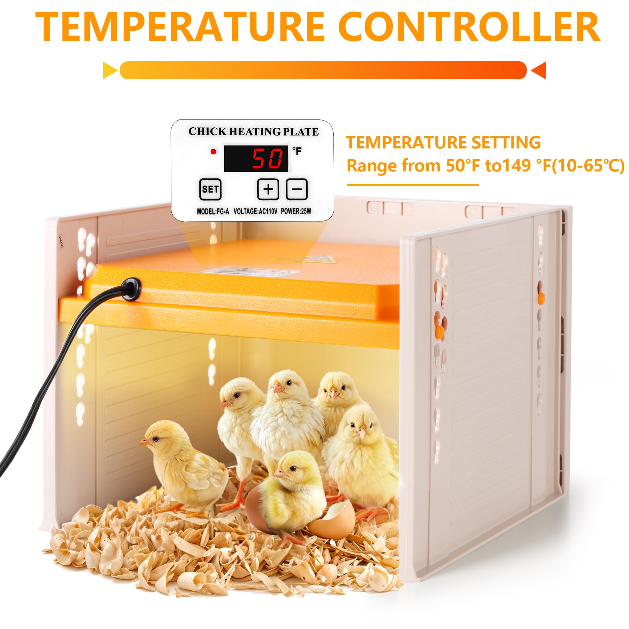POMINEL chick brooder height adjustment in use
