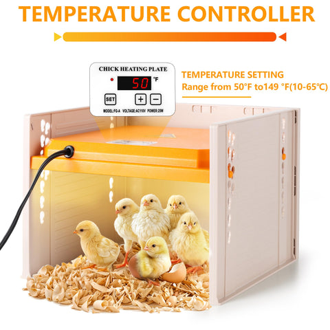 POMINEL chick brooder height adjustment in use