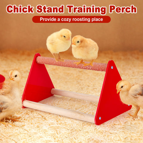 POMINEL chick waterer with automatic outlet for steady hydration