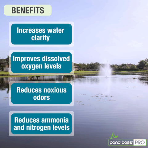 Pond BOSS CBBPR5 block image showing bacteria-enzyme blend for water clarity.
