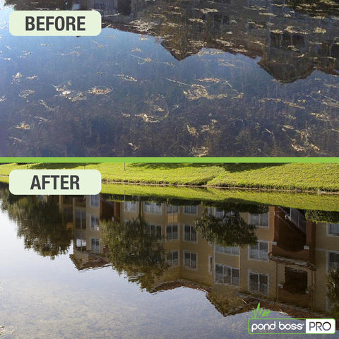 Pond BOSS CBBPR5 label image with usage directions for safe pond management.