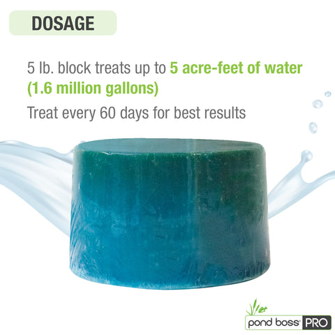 Pond BOSS CBBPR5 product near pond water to imply water quality improvement.