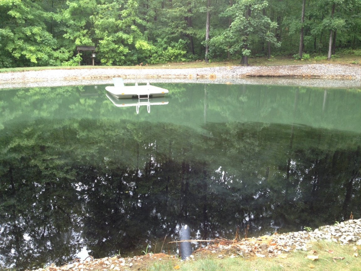 Pond Champs Black Lake Dye reflective water surface creates natural mirroring.