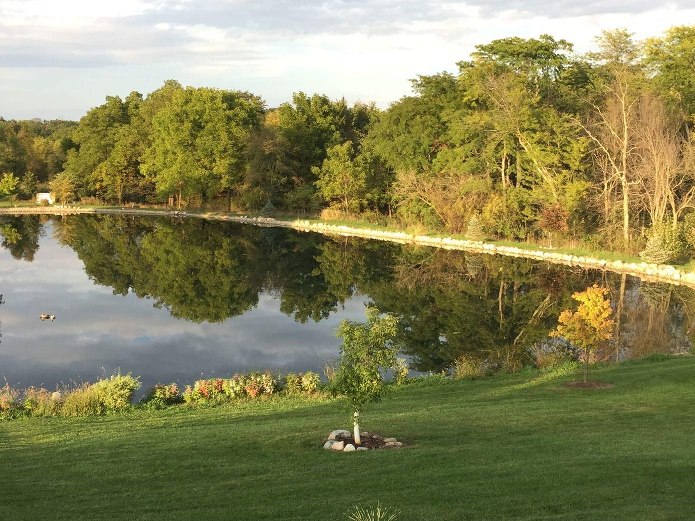 Pond Champs Black Lake Dye water color change enhances lake appearance.