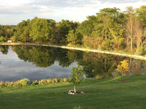 Pond Champs Black Lake Dye water color change enhances lake appearance.
