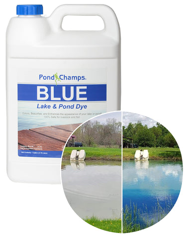 Pond Champs Blue Lake Dye bottle shows vibrant royal blue color for pond aesthetics