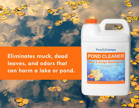 Pond Champs Pond Cleaner in a pond scene with healthy fish and clarity