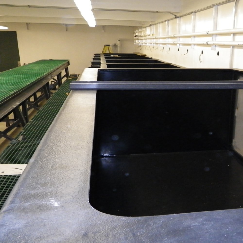 Pond Shield black epoxy finish on pond edge emphasizes safe, fish-friendly waterproofing.